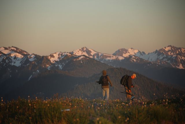Olympic National Park -- Early summer flowers 