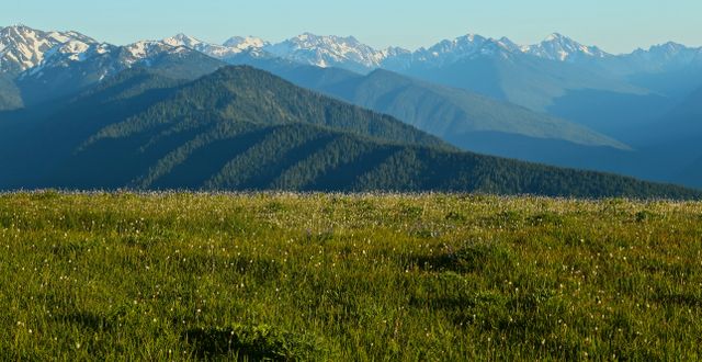 Olympic National Park -- Hurricane Ridge 