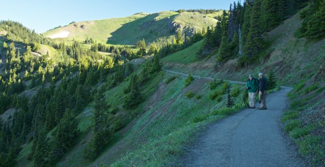 Olympic National Park -- Hurricane Hill Trail 