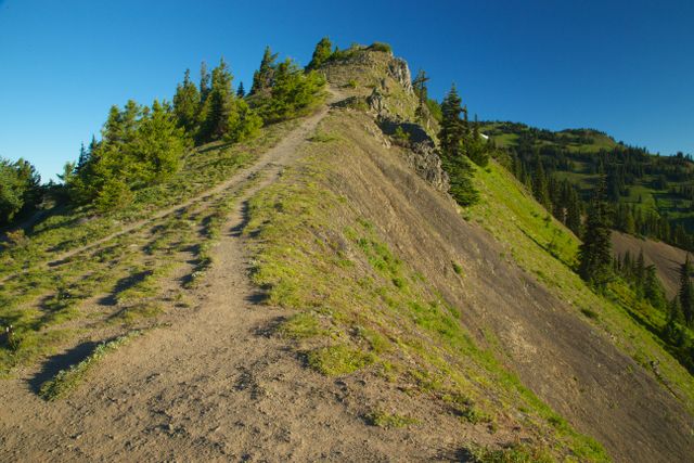 Olympic National Park -- Little River Trail