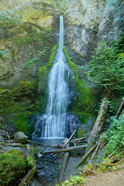Olympic NP - Rain Forest -- Marymere Falls 