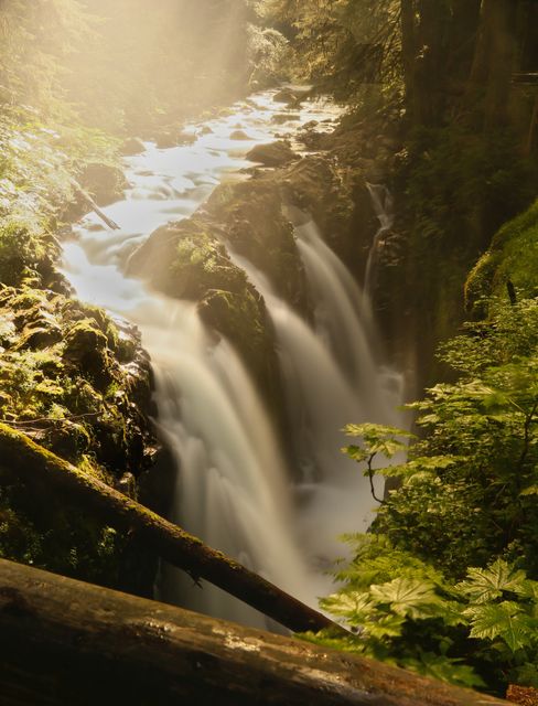 Olympic NP - Rain Forest -- Soleduck Falls 