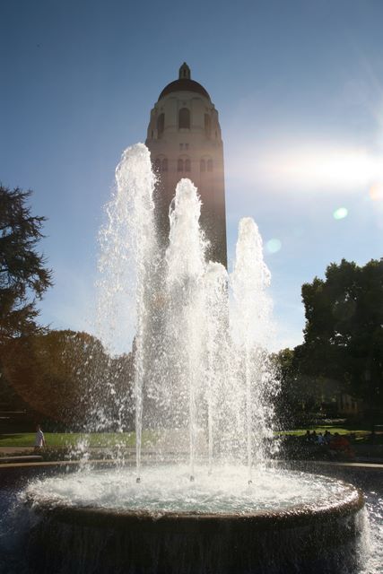 Stanford University 