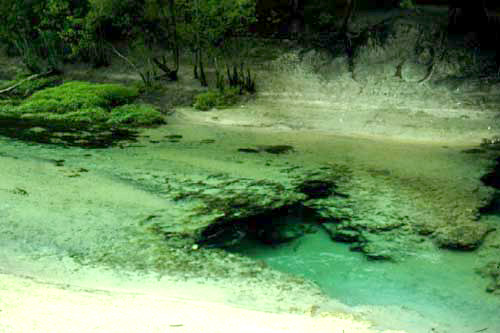 Little River - Florida