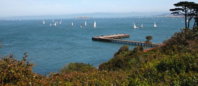 Crissy Field Overlook with Alcatraz 
