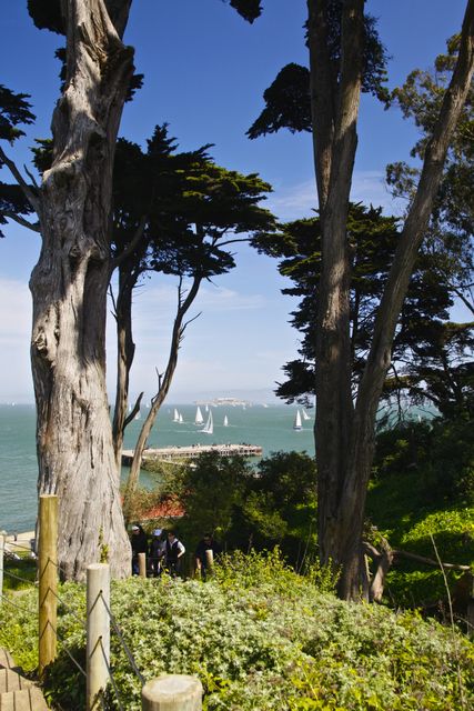 Walkway to Crissy Field 