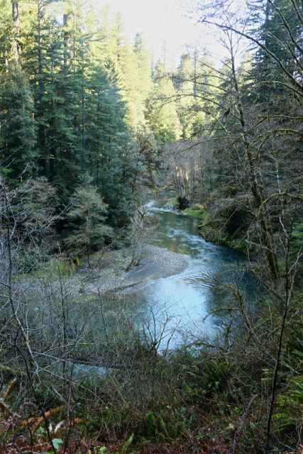 Lost Man Creek 