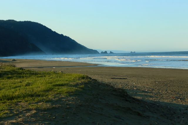 Coastal Area of Redwoods National Park