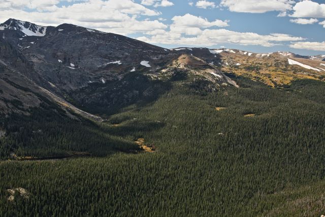 Forest Canyon