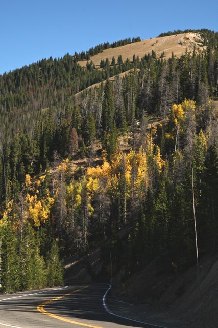 Trail Ridge Road