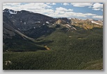 Forest Canyon