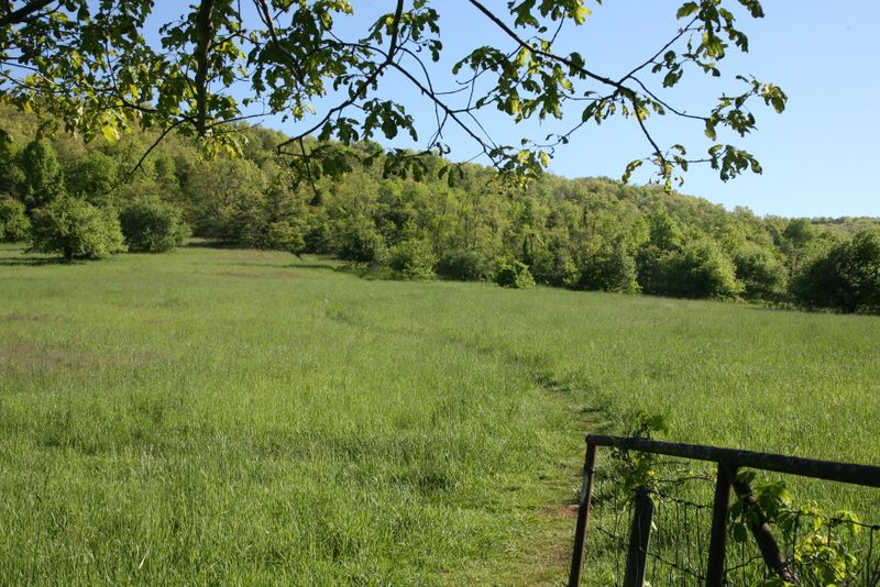 Trail Head