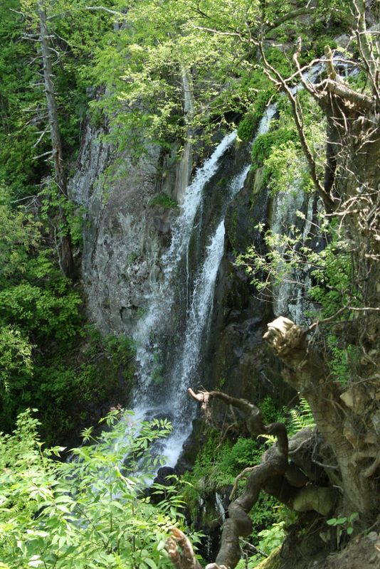 Lewis Falls