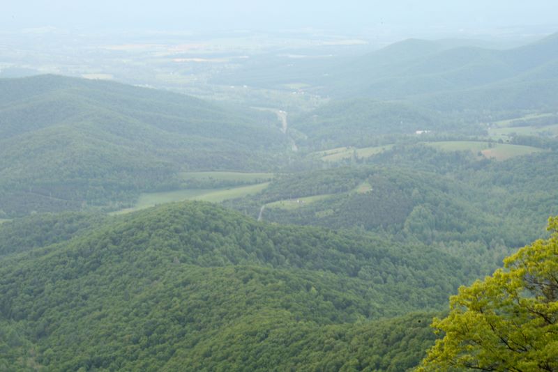 Overlook