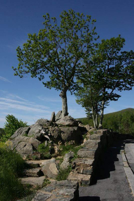 Overlook with Rock Formation