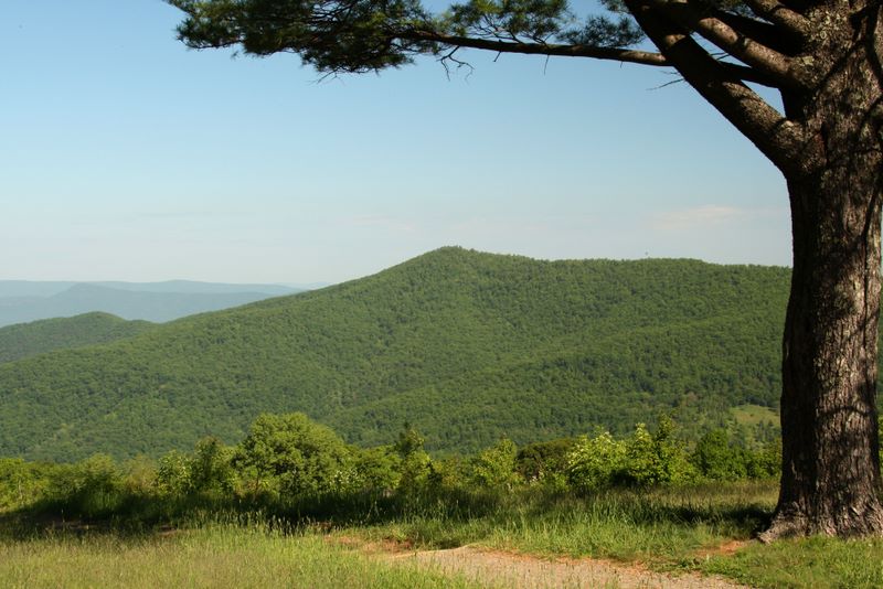 Overlook