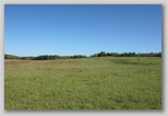 Big Meadows