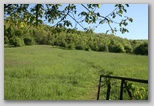 Trail Head
