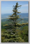 Overlook
