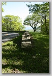 Rock Wall leading to an Overlook
