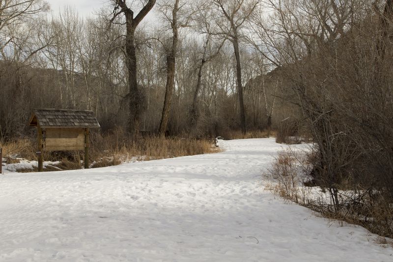 Shoshone Forest Camp Ground 