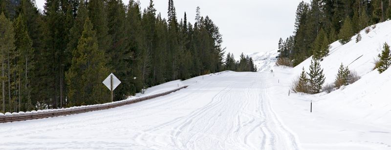 Road to East Entrance of Yellowstone NP 