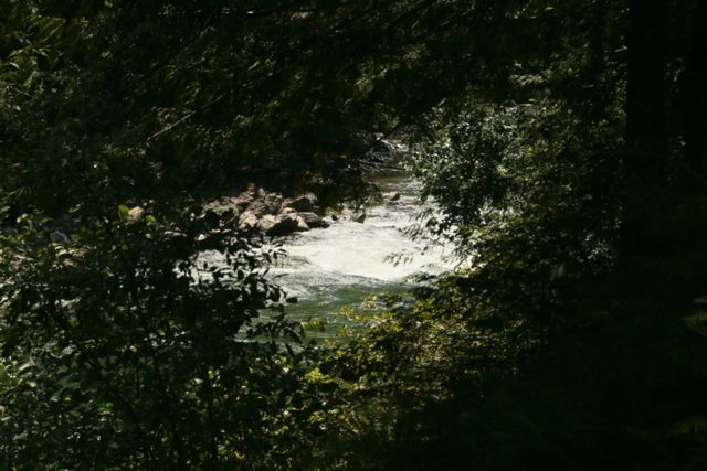 Skagit River -- Rockport area on WA Hwy 20 