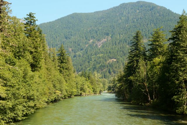 Skagit River -- Marblemount area on WA Hwy 20 