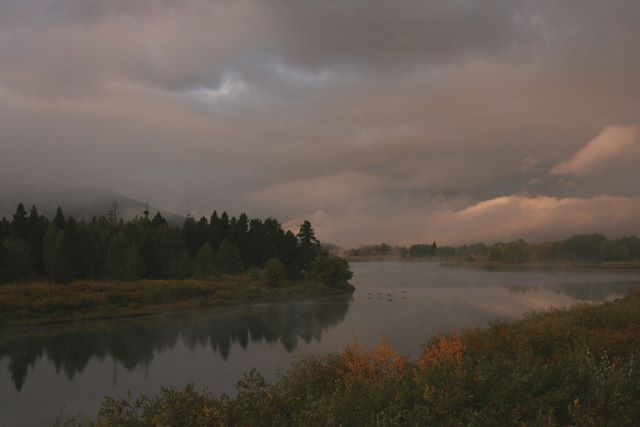 Oxbow Bend Area (with ducks)