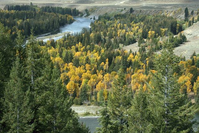 Snake River Overlook 