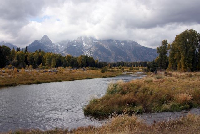 Schwabacher Area 