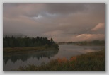 Oxbow Bend Area (with ducks)