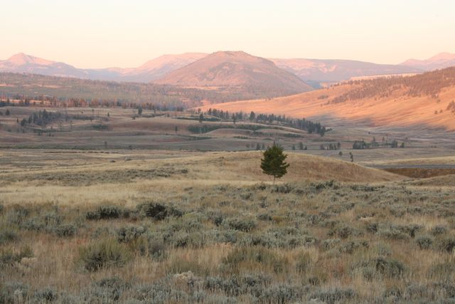 Blacktail Plateau - Yellowstone National Park