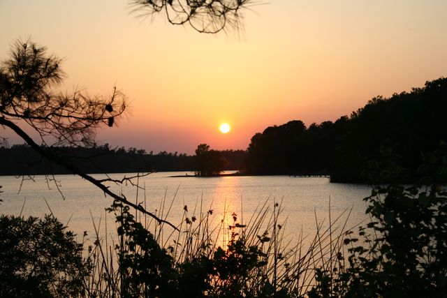 Chaw Creek - South Carolina  