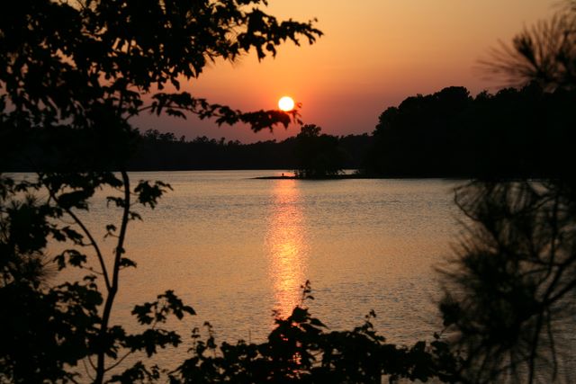 Chaw Creek - South Carolina 