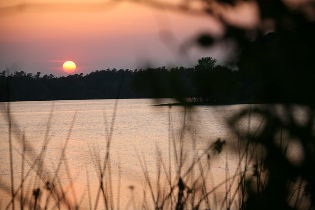 Chaw Creek - South Carolina  