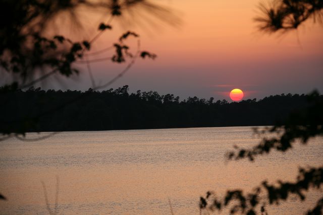Chaw Creek - South Carolina