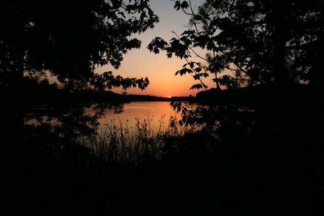 Chaw Creek - South Carolina  