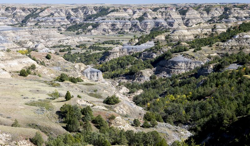 NP North Unit -- Bentonitic Clay Overlook 
