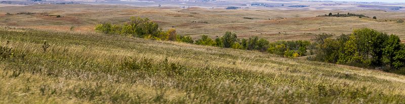 North Unit -- Grasslands 