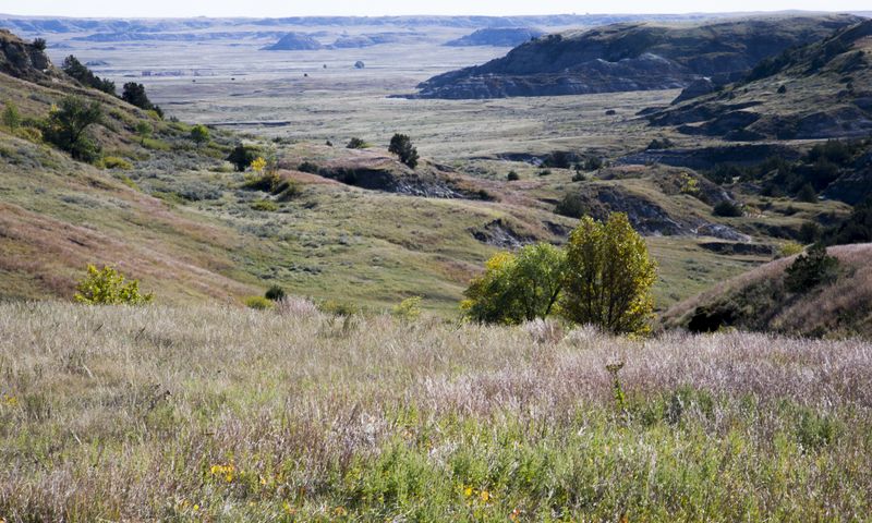 South Unit -- Boicourt Overlook 