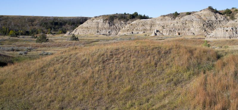 South Unit -- Grasslands 