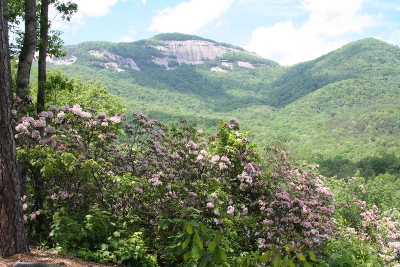 Spring Time at Table Rock 