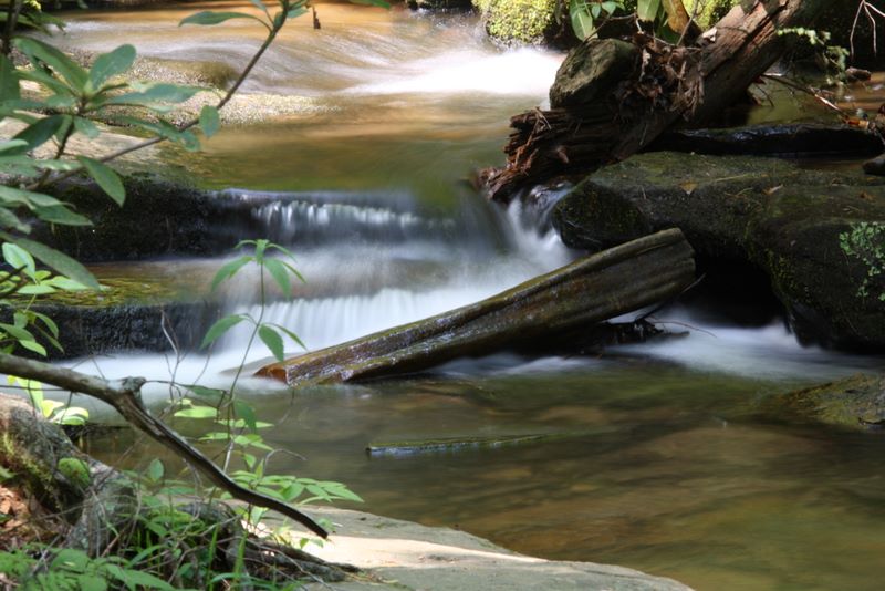 Stream along the trail