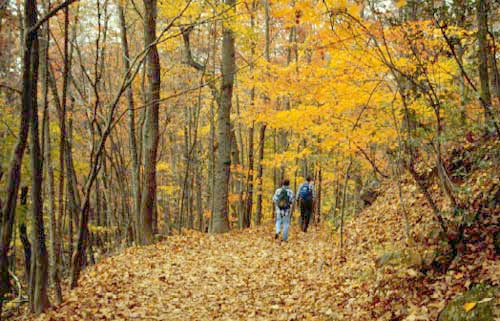 Hiking on the Table Rock Trail