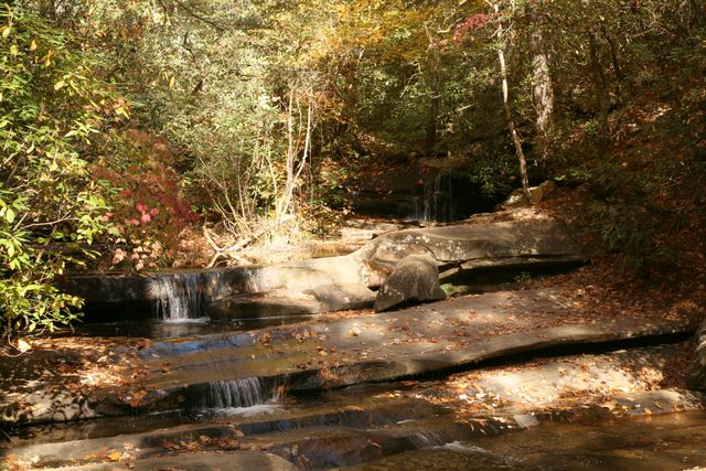 Carrick Creek on trail 