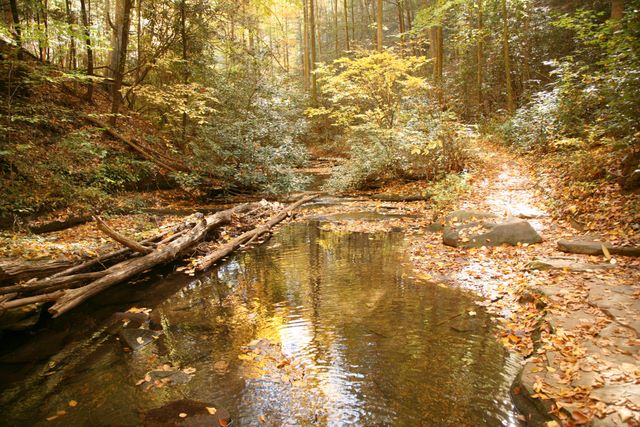 Table Rock - Carracks Trail