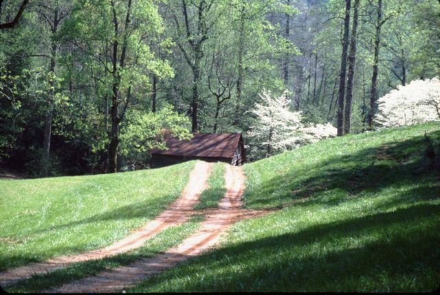 Road to the Barn at Table Rock Reservoir