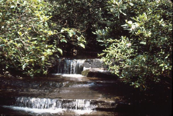 Falls on Table Rock Trail 