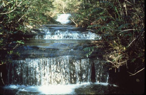 Falls on Table Rock Trail 